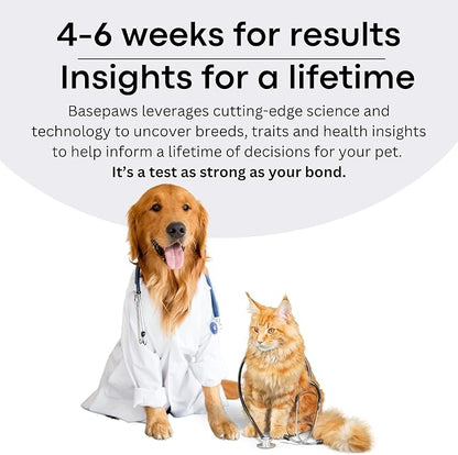 Basepaws Cat DNA Test Kit 2 Pack- Comprehensive Breed, Health and Dental Analysis Across 114 Traits for Accurate and Easy-to-Use Genetic Insights