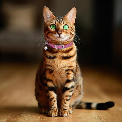 OOPSDOGGY Rolled Leather Cat Collar with Bell, Reflective Kitten Collars with Buckle Include Safety Elastic Strap - Adjustable Small Pet Collars for Boy Girl Cats (Fucsia)