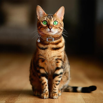 OOPSDOGGY Rolled Leather Cat Collar with Bell, Reflective Kitten Collars with Buckle Include Safety Elastic Strap - Adjustable Small Pet Collars for Boy Girl Cats (Beige)
