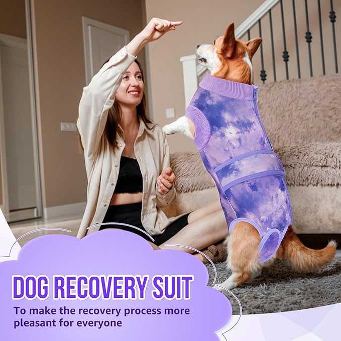 Lukovee Recovery Suit for Dogs, Zipper On Recovery Suit for Female Male Dog, Onesie Abdominal Wounds Cone E-Collar Alternative Prevent Licking Spay Recovery Suit (TPU,XS)
