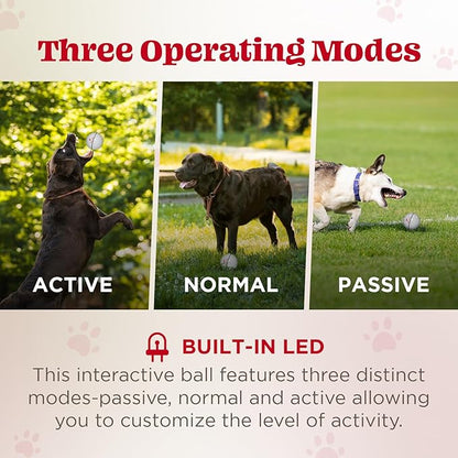 Wicked Ball - Smart Interactive Dog Ball for Solo Play - Electronic Self-Moving Dog Toys for Boredom - Rechargeable, Motion Activated - 35"