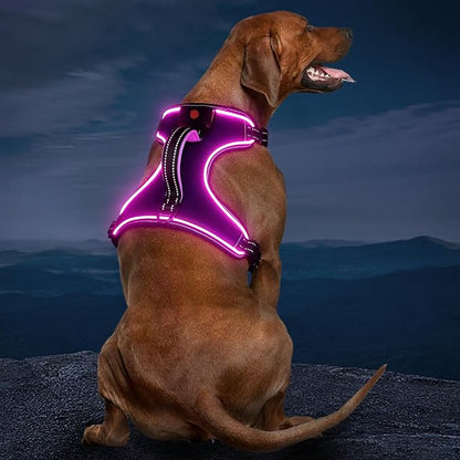 Light Up Dog Harness, No Pull LED Dog Harness with Handle, Rechargeable Lighted Safety Vest for Small Medium Large Dogs, Adjustable Soft Dog Lights for Night Walking