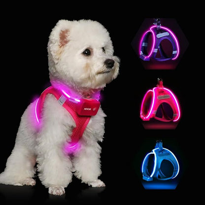Light Up Dog Harness,Rechargeable LED Dog Harness for Small Medium Large Dogs,Reflective Lighted Safety Vest for Night Walking & Camping,Lightweight & Adjustable,Pink,M