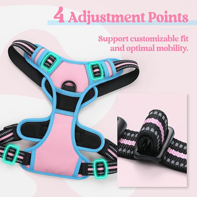rabbitgoo Dog Harness No Pull with 2 Leash Clips, Adjustable Soft Padded, Reflective Oxford No Choke Pet Vest with Easy Control Handle for Large Dogs, Pink & Blue, L