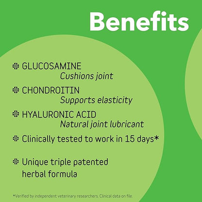 Hip and Joint Supplement for Large Dogs 70 Pounds and Up with Glucosamine Chondroitin, and Hyaluronic Acid – Formulated for Large Breeds – Clinically Proven Hip and Joint Support