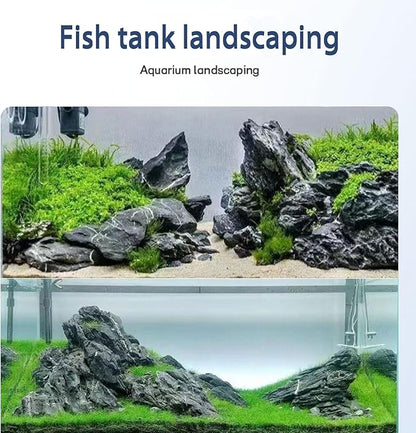 Seiryu Stone Natural Stone Rocks Fish Tank Decor Rocks for Aquariums Landscaping Model Tank Decoration Aquarium Miniature -20Lb (2-8 inch)