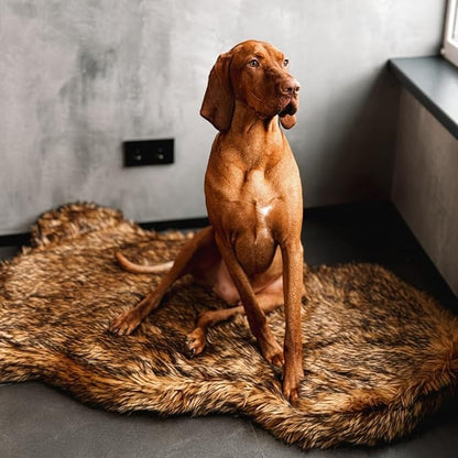 IHAPPYDOG Luxury Faux Fur Orthopedic Dog Bed, Memory Foam Dog Bed for Small, Medium, Large and XL Pets, Fluffy Pet Bed with Waterproof and Washable Cover (Brown, 40"x25")