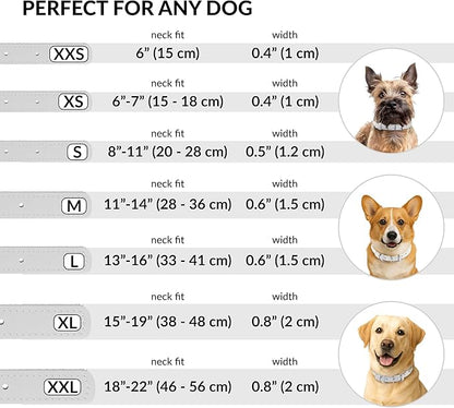 CollarDirect Rolled Leather Dog Collar, Soft Padded Round Puppy Collar, Handmade Genuine Leather Collar Dog Small Large Cat Collars 13 Colors (13-16 Inch, White Smooth)