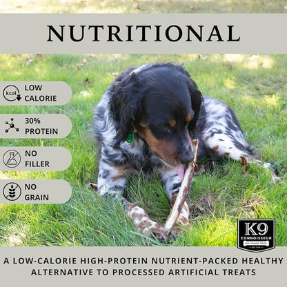 K9 Connoisseur Beef Marrow Rib Dog Bones Long Lasting 8 to 10 Inch Long - USA Made Single Ingredient for Medium Dogs Upto 50 Pounds - 16 Pack