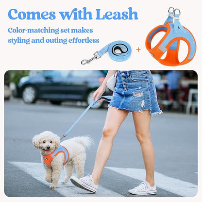 rabbitgoo Dog Harness Small Sized and Leash Set, Step in Soft Light Puppy Vest, Breathable Mesh Pet Harness, Reflective for Safe Easy Walking, Blue & Orange XS