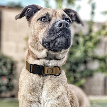 Dogline Biothane Waterproof Dog Collar with Quick Release Buckle Strong Coated Nylon Webbing with Odor- Proof for Easy Care Easy to Clean Fits Small Medium Large Dogs, Coyote Brown 1" W 15-25" L