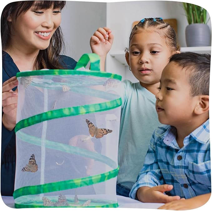 Insect Lore Butterfly Garden with 5 Live Baby Caterpillars - STEM Activity Journal, Habitat, Chrys-A-Lid Holder and Feeder Included | Raise and Release Painted Lady Butterflies