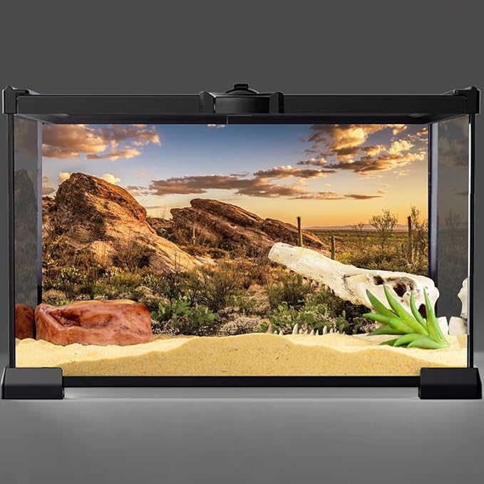 AWERT Terrarium Background 36x18 inches Reptile Habitat Background Blue Sky Oasis Cactus Sun and Desert Terrarium Background Polyester Terrarium Background