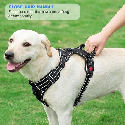No Pull Dog Harness Adjustable Reflective Oxford Easy Control Medium Large Dog Harness with A Free Heavy Duty 5ft Dog Leash (M (Chest: 22"-26"), Purple Harness+Leash)