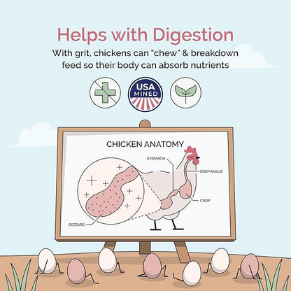 Chick Grit for Baby Chicks - Chickens Age 0-8 Weeks, 100% Natural Mineral Chick Grit Quartzite, Poultry Grit Digestive Aid, USA Mined, 4 lbs