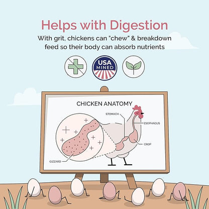 Chicken Grit for Layer & Grower Chickens Age 8-20+ Weeks - 100% Natural Mineral Chicken Grit Quartzite, Poultry Grit, USA Mined, 50 lbs