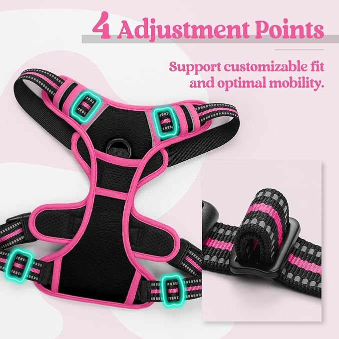 rabbitgoo Dog Harness No Pull with 2 Leash Clips, Adjustable Soft Padded, Reflective Oxford No Choke Pet Vest with Easy Control Handle for Large Dogs, Black & Hot Pink, M