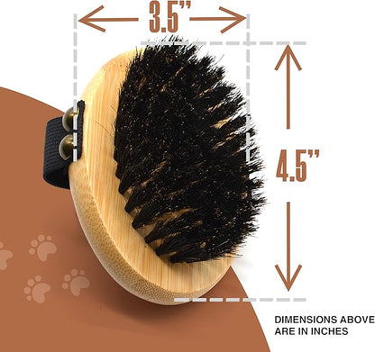 The Buddy System Pet Close Brush, Soft Touch Oval Palm Brush - Bamboo Massage Handheld with Soft Boar Bristles and Elastic Band for Dogs and Cats 2 Pack
