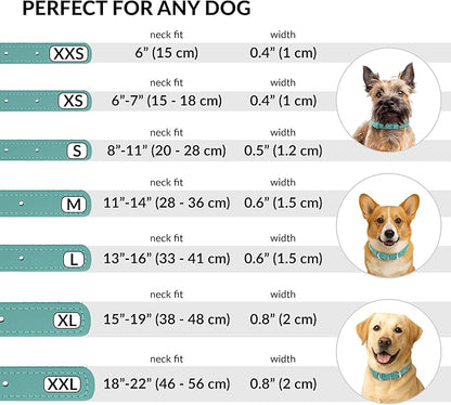 CollarDirect Rolled Leather Dog Collar, Soft Padded Round Puppy Collar, Handmade Genuine Leather Collar Dog Small Large Cat Collars 13 Colors (15-19 Inch, Mint Green Smooth)