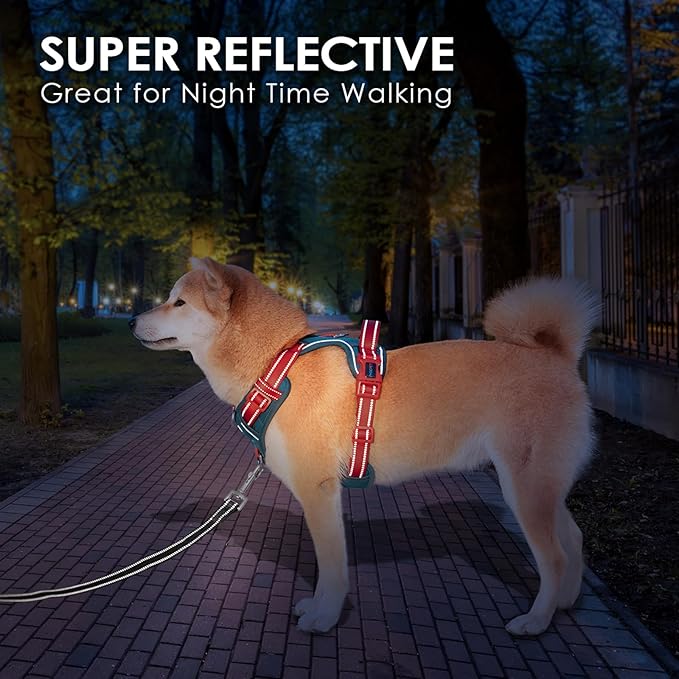 PHOEPET No Pull Dog Harness, Unique Colors Reflective Adjustable Dog Vest, with Soft Training Handle Metal Clips for Small Medium Large Dogs (Teal Base & Red Straps,XL)