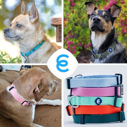 Blueberry Pet Essentials Matching Adjustable & Durable Classic Solid Color Nylon Dog Collars for Medium Dogs | Highlighter Yellow Collar Medium Girl and Boy Dogs for Pet Owner