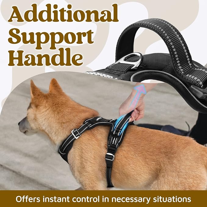 rabbitgoo Dog Harness Small Sized, No Pull Dog Vest with 3 Buckles, Adjustable Soft Padded Pet Harness with Easy Control Handle and Reflective Strips, Black, S