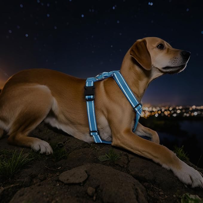 Dog Seat Belt Harness for Car, Dog Car Harness Adjustable Mesh Breathable & Dogs Seatbelt Safety Tether with Elastic Bungee for Small Medium Large Pets(Blue, S)