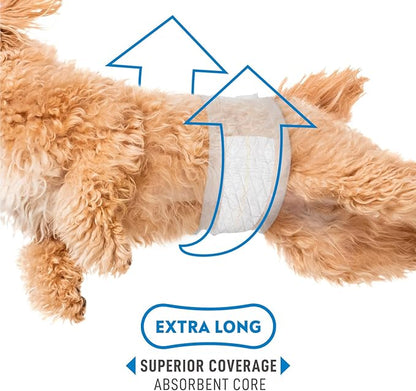 Paw Inspired Select Fit Male Dog Diapers, Disposable Male Wraps with Wetness Indicator| Belly Bands for Small, Medium, Large Dogs (Medium, 20 Count)