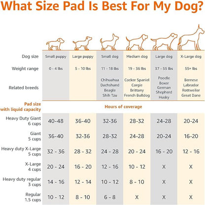 Amazon Basics Heavy Duty Dog and Puppy Pee Pads, 5-Layer Leak-Proof Ultra Absorbent, Quick-Dry Surface, Potty Training, Regular (24x23"), 50 Count, Blue & White