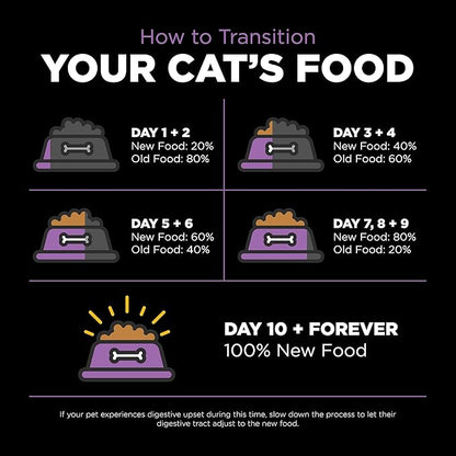 Go! Solutions Carnivore, Grain-Free, Protein Rich Dry Cat Food, Chicken, Turkey and Duck Recipe, 3 lb Bag