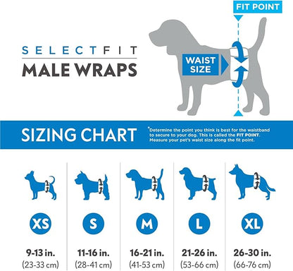 Paw Inspired Select Fit Male Dog Diapers, Disposable Male Wraps with Wetness Indicator| Belly Bands for Small, Medium, Large Dogs (Medium, 20 Count)