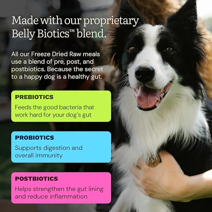 Get Joy Gut Health Fresh Freeze Dried Raw Meal, Chicken Recipe, 16 Ounce Bag, Dog Food for Dogs of All Breeds and Life Stages, PhD Animal Nutritionist Formulated, Made in USA
