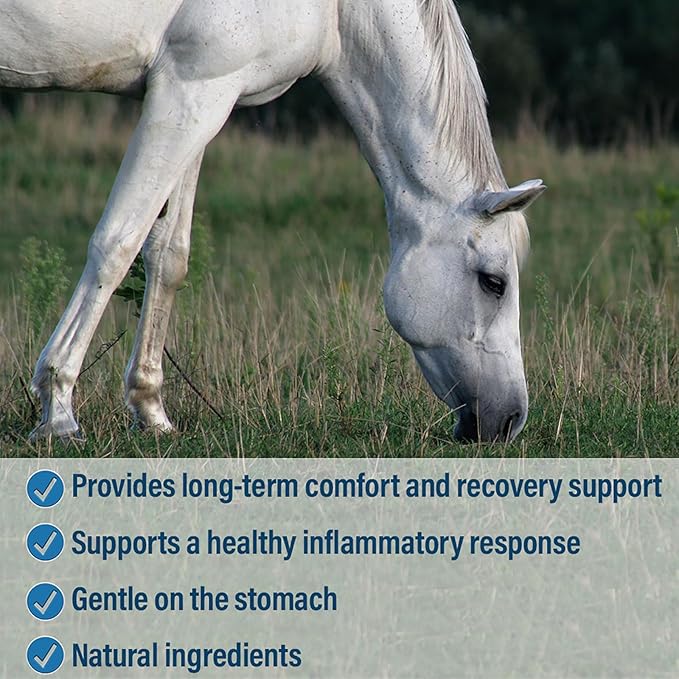 Absorbine Bute-Less Comfort & Recovery Support Supplement, Provides Long-Term Comfort, Gentle on Stomach, Includes Devil’s Claw, Vitamin B-12, Yucca, 10 lb / 160 Day Supply