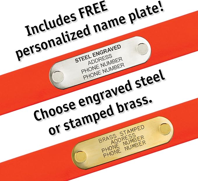 Biothane Custom Dog Collar – Waterproof, Stink-Proof Personalized Collar with Name & Phone Number – Durable, Many Sizes and Colors – Assembled in USA (Olive Green)