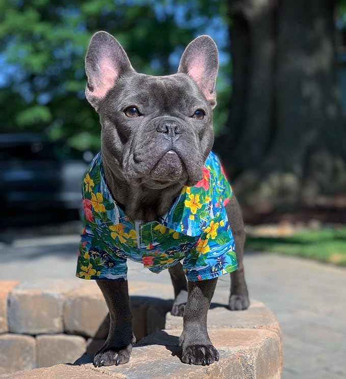 Parisian Pet Hawaiian Dog Shirt - Cotton Summer Clothes - Stylish Beach Outfit - Hook and Loop Closure - Machine Washable for Large Dogs