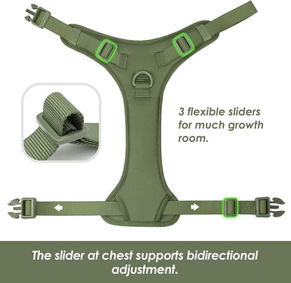 No Pull Dog Harness, Puppy Vest with Front Clip for Small Medium Large Sized Cute Dog (Misty Green,L)