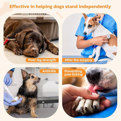 Non-Slip Paw Protector Pads for Senior Dogs, Anti-Slip Rubber Traction Stickers, Blue, 48pcs, L (21-40lbs)