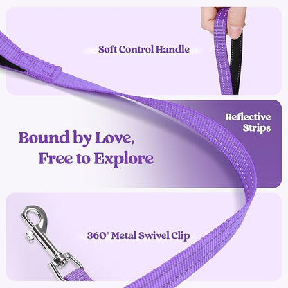 rabbitgoo Dog Harness Small Medium Sized and Leash Set, Step in Soft Light Puppy Vest, Breathable Mesh Pet Harness, Reflective for Safe Outdoor Walking, Purple L