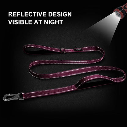 TwoEar 6FT 1IN Strong Rose Dog Leash with 2 Padded Handles, Traffic Handle Extra Control, Comfortable Soft Dual Handle, Auto Lock Hook, Reflective Walking Lead for Small Medium and Large Dogs