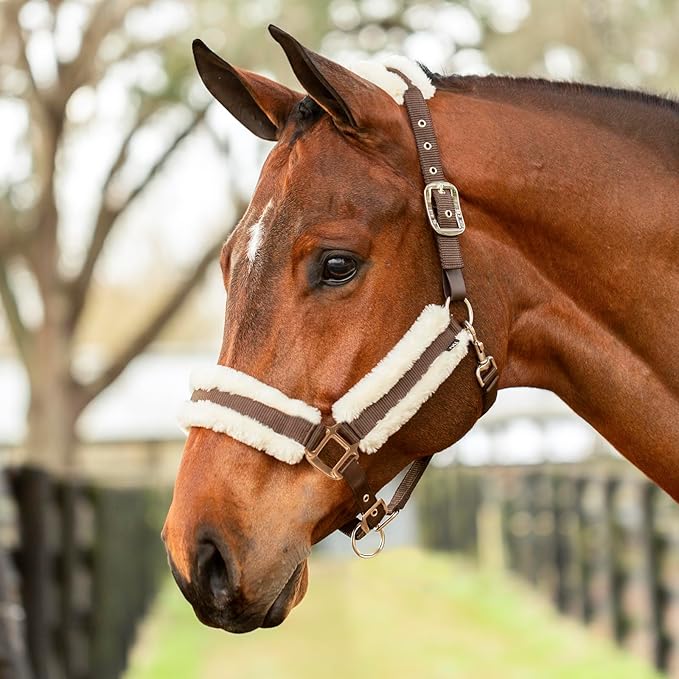 Equinavia Valkyrie Soft Ultra Fleece Padded Adjustable Breakaway Horse Halter - Brown/Ivory White - Cob
