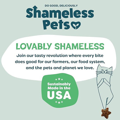 Shameless Pets Crunchy Cat Treats - Catnip Treats for Cats with Digestive Support, Natural Ingredients Kitten Treats with Real Chicken, Healthy Flavored Feline Snacks - Catnip N Chill, 3-Pk