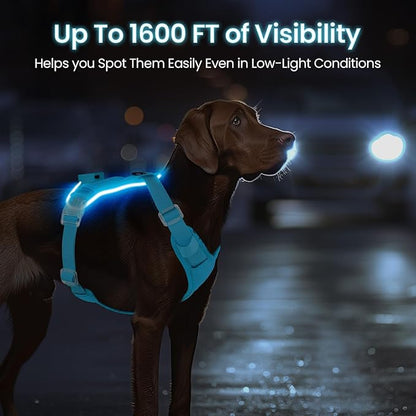 Light Up Dog Harness,Reflective Pet Harness Rechargeable,Led Dog Vest Harness for Night Walking,Adjustable Dog Safety Vest for Small Medium Large Dogs-No Pull,Blue,M