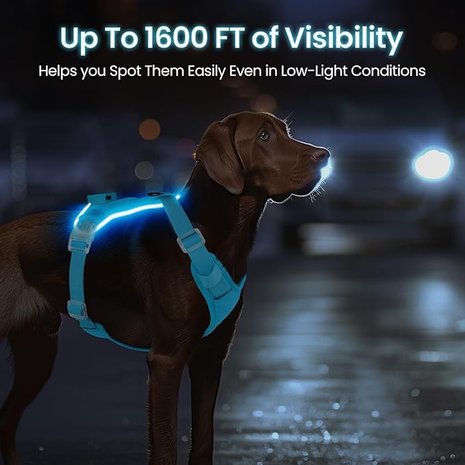 Light Up Dog Harness - Rechargeable LED Reflective Pet Vest for Night Walking - Adjustable No-Pull Safety Harness for Small Medium Large Dogs, Blue, XS