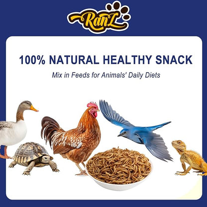 RANZ 2LBS Non-GMO Dried Mealworms for Chickens, High Protein Meal Worms, Premium Chicken Feed, Whole Large Mealworms for Blue Birds, Ducks, Fish