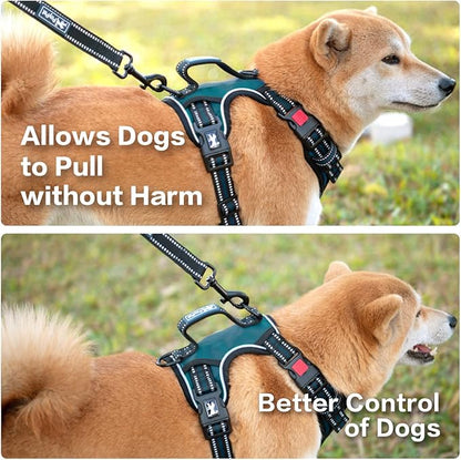 PoyPet No Pull Dog Harness, No Choke Front Clip Reflective Dog Vest with Soft Padded Vertical Handle, 3 Leash Attachments for Small Medium Large Dogs (Tumalo Teal,S)