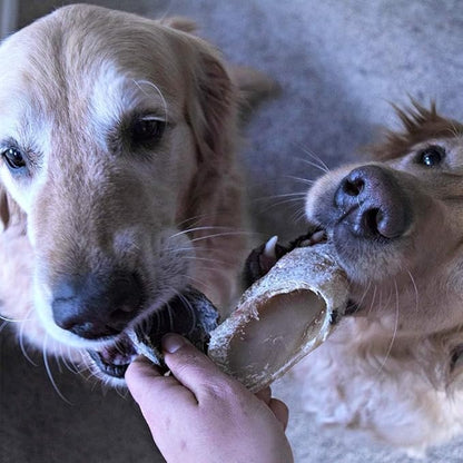Full-Size Cow Hooves for Dogs | (50 Pack) All-Natural Long Lasting Dog Chews | Made from Grass Fed Cattle | Tasty Treat for Oral Hygiene | Fantastic Alternative for Rawhide and Bully Sticks