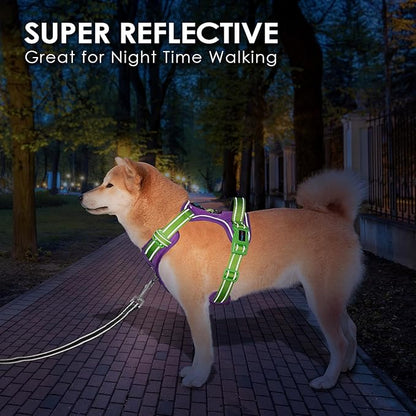 PHOEPET No Pull Dog Harness, Unique Colors Reflective Adjustable Dog Vest, with Soft Training Handle Metal Clips for Small Medium Large Dogs (Purple Base & Green Straps,S)