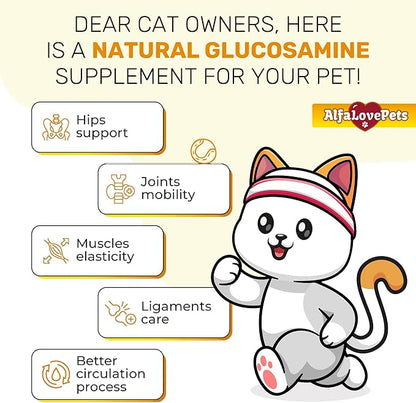 Cat Joint Supplement for All Breeds – Glucosamine for Cats and Kittens – Glucosamine, Chondroitin, MSM for Hip & Joint Care – Natural Ingredients with Chicken Flavor – 2 Oz