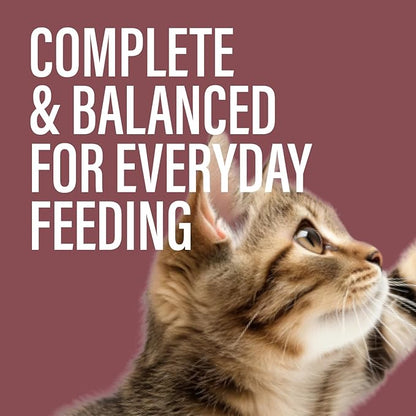 Chewer's Joy Wet Cat Food Variety Pack – 3 Flavors: Tuna & Salmon, Tuna & Chicken, Tuna & Turkey – Natural Pâté – High Protein – Grain Free – Complete & Balanced Nutrition – 24 Cans (3 oz)