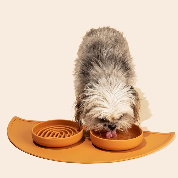 The Slowdown Bowl Silicone Slow Feeder for Cats & Kittens, Slow Eating Mealtime Solution with Modern Lick Mat Design, Reduces Gulping, Fits 1 Cup 6” Across x 1.25” Tall, Small-Blush